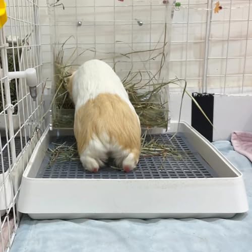 PODOO Rabbit Litter Box – Training Potty Tray for Guinea Pig & Small Pets · Spacious Grid Pan with Low Entrance, Easy-Clean & Odor-Resistant—Helps Keep a Clean Cage and Reduce Mess - size: 2Pcs x Medium