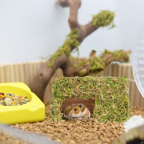 Hamster Hideout - Large, Natural Moss, Handcrafted for Syrian Hamsters, Rats & Guinea Pigs, Hermit Crab,Hedgehogs,Lizards & Other Reptiles（Square, Large） - size: Square, Large