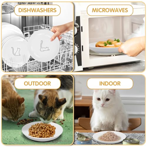 6 Pack Cat Food Bowl, Ceramic Cat Bowls, Anti Whisker Fatigue Cats Bowl Set | 5.5 Inches Shallow Wide Kitten Plates for Food and Water (White-B) - color: White-B