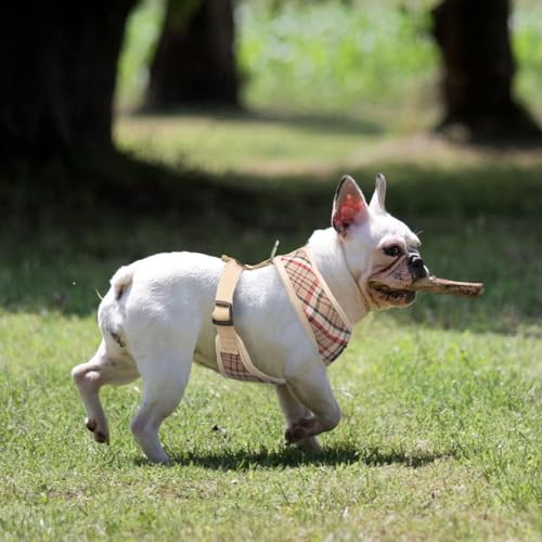 PUPTECK Soft Mesh Dog Harness and Leash Set Pet Puppy Cat Comfort Padded Vest No Pull Harnesses, Khaki, S - color: Khaki, size: S (NECK: 12", CHEST: 14"-18")