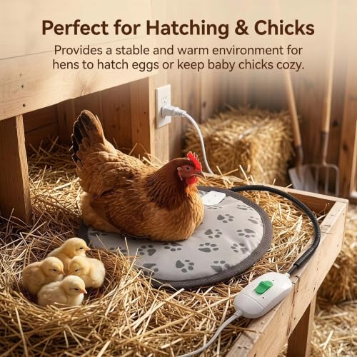 Chicken Heating Pad,Small Animal Rabbit Guinea Pig Heated Bed Mat,Black | Fire Retardant;With Chew Resistant Steel Cord;Guinea Pig Squirrel Hedgehog Chinchilla Winter Warm Heated Bed Mat - color: Black