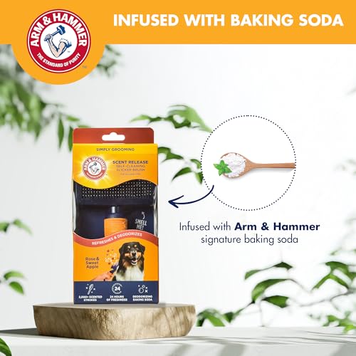 Arm & Hammer Deodorizing Slicker Dog Brush, Sweet Apple & Rose Scent | Fragrance transfer technology, baking soda infused, self-cleaning button, removes loose fur and tangles - size: 1-Pack, style: Slicker Brush - Sweet Apple & Rose