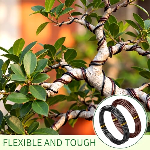 Mudder 5 Roll Aluminum Bonsai Training Wire Tree 1/1.5/2.0/2.5/3mm 118 Feet Total with Bonsai Wire Cutter Anodized Training for Holding Branches Small Trunks (Classic) - color: Classic, size: 1/1.5/2/2.5/3mm
