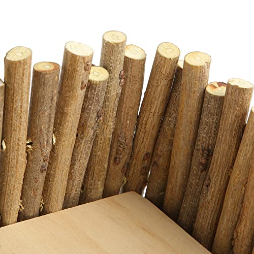Health Gear Hamster Wooden Climbing Toy, Dwarf Hamster Activity Playground with Fence for Hamsters, Sugar Gliders, Golden Bears, Guinea Pigs, Small Pet Climb with Ladder, Screw Type