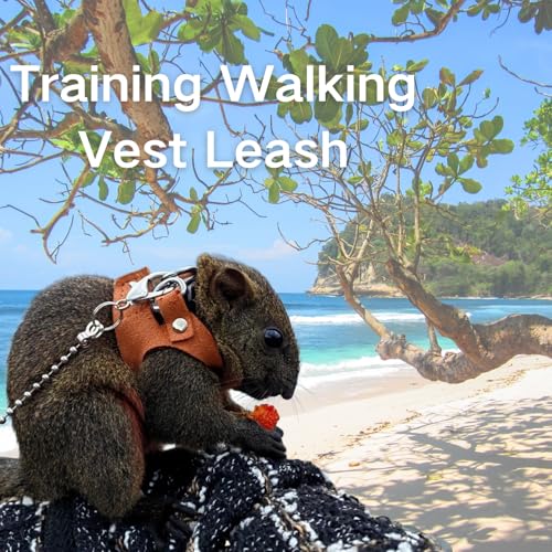3 Pack Squirrel Harness and Leash Set - Adjustable Soft Leather & Traction Rope Strap Anti-Biting Chainfor Small Pet Walk Jogging Bearded Dragon Reptile Squirrel Rat