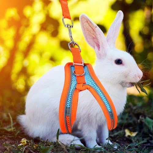 PETKNOWS 2 Pack Rabbit Harness and Leash Set | Double Buckle Bunny Harness with Reflective Strips Soft Breathable Mesh Vest Harness for Rabbits Walks Accessories