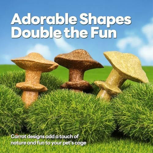 TEEWY 3PCS Guinea Pig Chew Toys, Prevent Teeth Overgrowth, Natural Timothy Grass & Vegetables, Hamster Chew Toys, Guinea Pig Toys, Chinchilla Toys, Mushroom-Shaped - style: 3PCS-Mushrooms