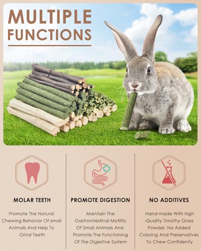 Bissap 60 PCS Rabbit Chew Sticks, Sweet Bamboo Timothy Hay Chew Stick Papaya Stems Apple Branch Bunny Chews for Rabbit Hamster Chinchilla Guinea Pig Small Pet Natural Molar Treats