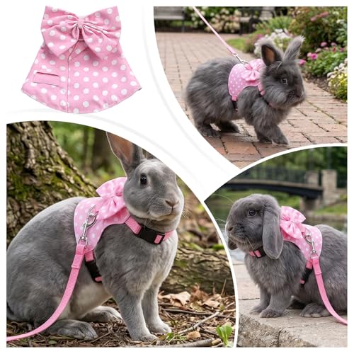 Gjinxi Adjustable Bunny Rabbit Harness Leash Set Comfort No Pulling Vest | Cute Mesh Harness Stuff with Bow, Escape Proof, Accessories, for Small Pets, Kittens, Guinea Pig, Baby Ferret, Rats, Hamster