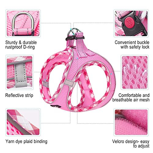 haapaw Dog Harness with Leash Set, No Pull Adjustable Reflective Step-in Puppy Harness with Thickened Padded Vest for Extra-Small/Small Medium Dogs - color: Pink, size: XS