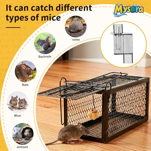 2 Pack Humane Rat Traps, Foldable Cage,9.45 x 4.1 x 4.1 Inches,Black | for Mouse Chipmunks and Squirrels, Reusable Wire Mesh Rodent Traps for Catch & Release, Indoor & Outdoor - size: 9.45 x 4.1 x 4.1 Inches