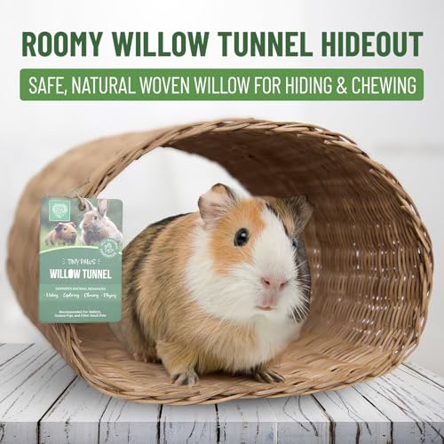 Small Pet Select Tiny Paws Willow Play Pack, Toys, Tunnel & Hideout | Natural Chew Toys & Cage Accessories, For Guinea Pigs, Rabbits, Bunnies & Other Small Pets
