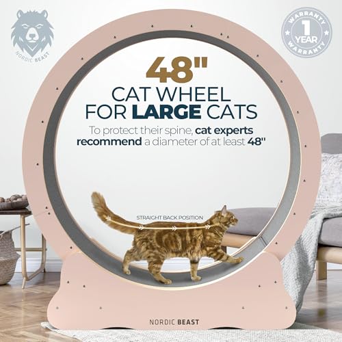 Pink 48'' XL Cat Wheel – Safe, Quiet & Stable Exercise Wheel for Large Indoor Cats up to 45 lbs – 15.7'' Extra-Wide Surface Fits 2 Cats Side by Side & Prevents Wobbling, 1-Year Warranty - color: Pink