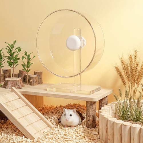 9.5" Silent Hamster Wheel - Clear Running Wheel | 9.5" compact size, easy-clean flat runway, quiet dual bearings, heavy-duty stable base, adjustable stand - size: 9.5"L x 5.0"W x 13.0"H