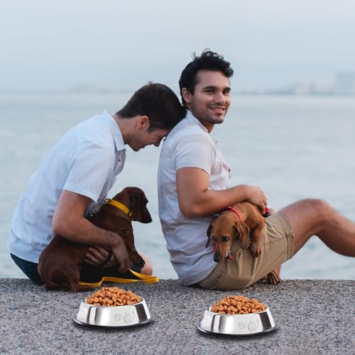 10 Pcs Stainless Steel Dog Bowl Pet Feeding Bowl with Rubber Base Non-Slip Pet Dishes Metal Dog Bowls Pet Food and Water Bowls for Small Medium Animals Kitten Rabbit (7 oz) - size: 7 oz