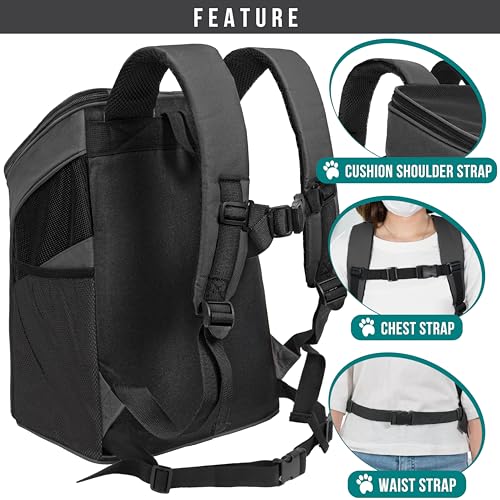 PetAmi Cat Backpack Carrier, Airline Approved Pet Carrier Backpack for Small Dogs and Large Cats, Soft Sided Collapsible Ventilated with Sherpa Bed for Hiking Travel, Max 18 lbs, Gray - color: Gray