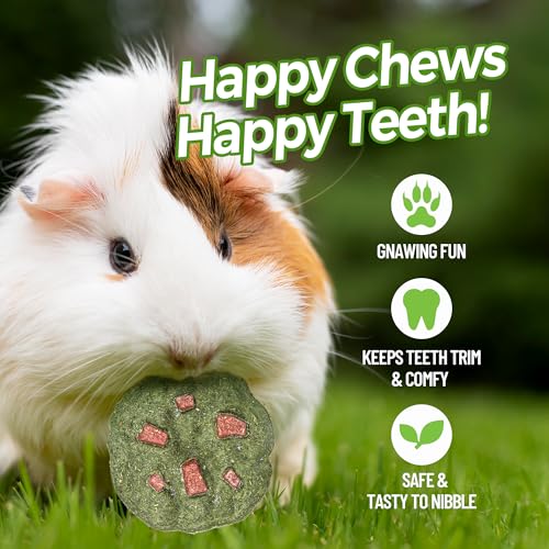 TEEWY Cookie Guinea Pig Toys, Natural Vegetables, Fruits and Timothy, Hamster Chew Toys for Teeth, Hamster Chews for Guinea Pig, Gerbil, Chinchilla and Rat, 3PCS - style: 3PCS-Cookie