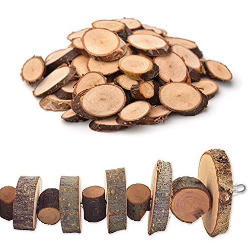 Small Animal Chews Toy Apple Wood Block Cage Hanging Molars Treats Snack | for Hamsters Rabbits Bunny Bird Parrots Chinchilla Guinea Pig Gerbils Squirrels, 2 Pack