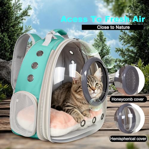 Front Extension Cat Backpack Carrier, Pet Travel Backpack for Kitten and Small Dogs, Clear Bubble Window Space Capsule Astronaut Liked Portable Vet Visit Book Bag Airline Approved - color: Green