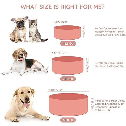 SPUNKYJUNKY 13.5OZ Ceramic Dog and Cat Bowl, Modern Cute Weighted Food Water Bowl for Replacement Pink (1 Pack) - color: Pink, size: 1.7 CUPS