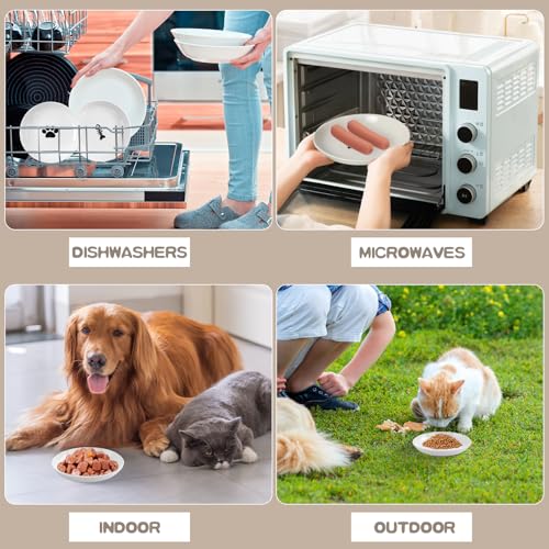 6 Pack Cat Food Bowl, Ceramic Cat Bowls, Anti Whisker Fatigue Cats Bowl Set | 5.5 Inches Shallow Wide Kitten Plates for Food and Water (White-A) - color: White-A