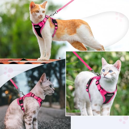 rabbitgoo Cat Harness and Leash Set, Escape Proof, Black & Rose Pink | Adjustable Fit, Snap Buckles, Soft Breathable Vest, Secure Clip, Reflective Strips, for Small & Average Cats Walks, Xs - color: Black & Rose Pink, size: Xs
