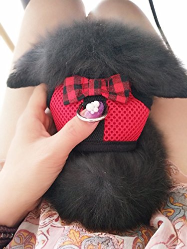 Hypeety Bunny Kitten Harness No Pull Cat Leash Stylish Vest Harness for Small Animal Adjustable Soft Breathable Walking Harness Set (RED, S) - color: Red, size: S