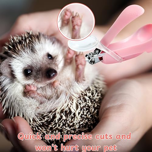 Hedgehog Toe Nail Clippers and Comb Set, 2 Pcs Hedgehog Soft Cleansing Brush and Toenail Clipper with Magnifier, Hedgehogs Massage Combs and Small Nail Clippers, Small Pet Grooming Supplies (Pink)