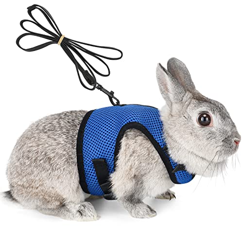 PETTOM Bunny Rabbit Harness with Stretchy Leash Cute Adjustable Buckle Breathable Mesh Vest for Kitten Small Pets Walking (Blue,XS) - color: Blue, size: XS(Chest:7.87-10.6 in)