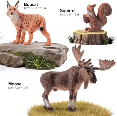 12PCS Solid North American Woodland Forest Animal Figurines Set | Realistic Wildlife Animal Toys, Educational Learning Playset, Birthday Party Favor Cake Topper Gifts for Toddlers Kids 3-13