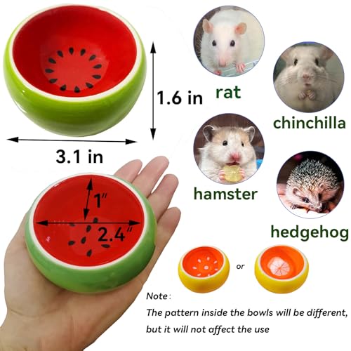 JSLZF Hamster Food Bowl Ceramic Small Gerbil Dish Prevent Chewing (3 PCS) | Small Animal Bowl for Rat and Ferret, Prevent Knocking Over and Food Splashing, Fruit Pattern, Easy to Clean