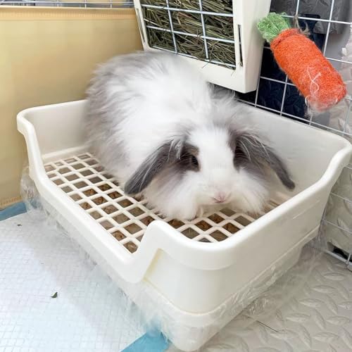 kathson Extra Large Rabbit Litter Box Trainer Rabbit Toilet Small Animal Potty Bunny Litter Pan Box for Adult Guinea Pig Rats Chinchilla Ferret Galesaur (White) - color: White