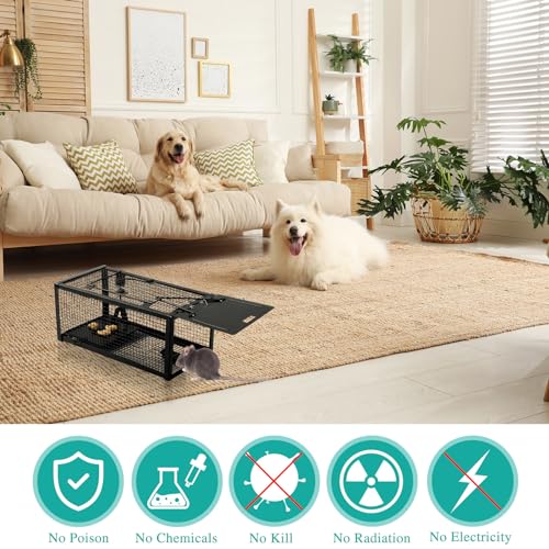 Qualirey 2 Pcs Live Rat Trap Humane Mouse Trap Mice Rat Cage Work for Small Animal Indoor and Outdoor Mouse Voles Hamsters Catch and Release(Black) - color: Black