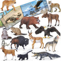 13 Pcs North American Forest Animal Figure Set with Educational Booklet | Realistic Plastic Animals Toy for Kids, Jungle Theme Party Favor, Cake Topper, Birthday Gift for Toddler Boy Girl