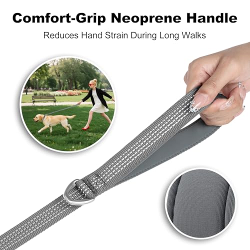 Plutus Pet Heavy Duty Dog Leash with Lockable Aluminum Carabiner, 4 FT Long | Double-Sided Reflective Nylon, Padded Handle, Heavy Duty, for Puppy Small Medium and Large Dogs (Gray, 1" x 4') - color: Gray, size: 1" x 4'