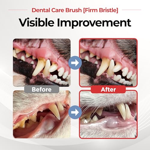 JAYU PET Dental Care Brush, Firm Bristles, 1ea | Resilient Dog Toothbrush, Cat Toothbrush, Tartar & Plaque Removal, Horizontal Head, S-Curved Body - color: Firm Bristles, size: 1 Count (Pack of 1)