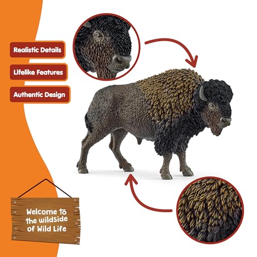 Schleich Wild Life - 5” North American Bison Figure - Realistic Buffalo Toy with Shaggy Coat and Bull Horns - Durable Animal Figurine for Screen-Free Play for Boys and Girls - Kids Ages 3+ | 14879