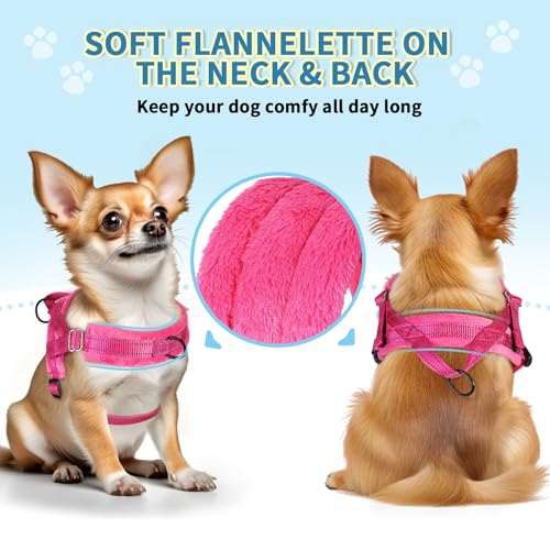 SlowTon No Pull Small Dog Harness and Leash Set with Front Clip | Soft Padded, Neck & Chest Adjustable, Lightweight, Anti-Twist, Puppy Vest Harness Pet Lead Combo for Small Medium Dog, FU XXS - color: Fuchsia, size: XX-Small