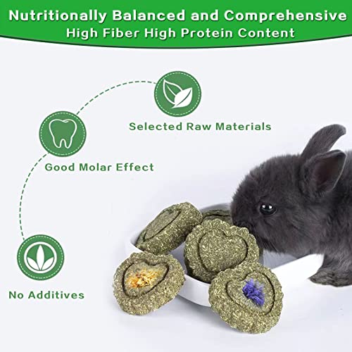 Rabbit Chew Toys for Teeth, 18PCS Natural Timothy Hay Chew Toy, Improve Dental Health for Bunny/ Chinchilla/ Guinea Pig/ Hamsters/ Holland Lop, Small Rodent Pet Molar Teeth Treats Toys - size: 18 PCS