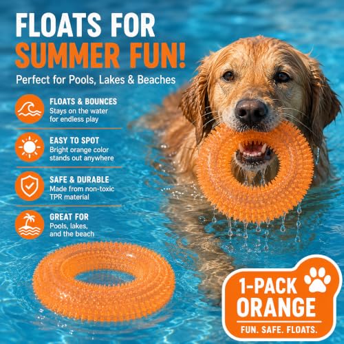 ADUCK Dog Squeaky Chew Toys for Aggressive Chewers, Small Medium Large Dogs Teeth Cleaning Soft Natural Rubber Float Toy for Indoor Outdoor Water Pool, Donut Ring Design 4.92 inch, Crystal Orange - color: Crystal Orange