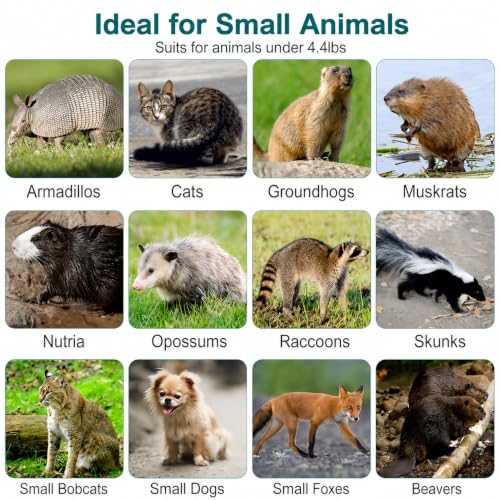 Live Animal (Under 4.4 lbs) Cage Trap, Collapsible Humane Animal Trap for Small Raccoons, Galvanized Steel Small Animal Trap Cage for Rabbit,Stray Cat,Chipmunk,Mole,Gopher,Foxes，24x7.1x8.2inches