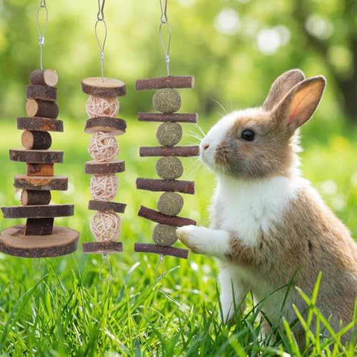 7 Pcs Bunny Chew Toys, Natural Apple Wood Hanging Rabbit Chew Toy Treats for Guinea Pigs Hamsters Chinchilla Ferret Rats, Improve Small Animal Dental Health for Teeth Grinding