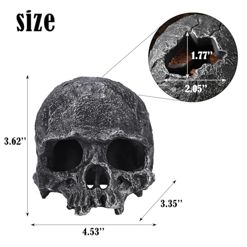 Resin Reptile Hideout for Tank Realistic Skull Decor for Terrarium Black Decorative Skeleton Head Hides and Caves for Fish Ball Python Axolotl Tarantula - color: Black