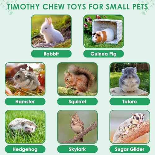 ERKOON 106PCS Bunny Chew Toys for Rabbits Teeth, Natural Rabbit Toys Apple Wood Sticks, Carrot, Timothy Grass Treats for Small Pets, Hamster, Chinchilla, Guinea Pig Dental Care and Treat Teething Toys - size: 106