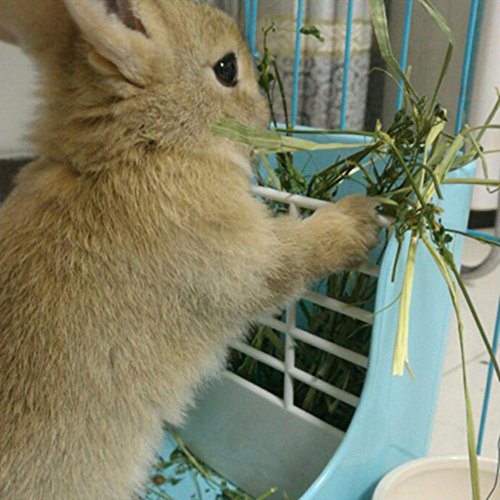 Hay Food Bin Feeder, Hay and Food Feeder Bowls Manger Rack for Rabbit Guinea Pig Chinchilla and Other Small Animals (Yellow)?- - color: Yellow