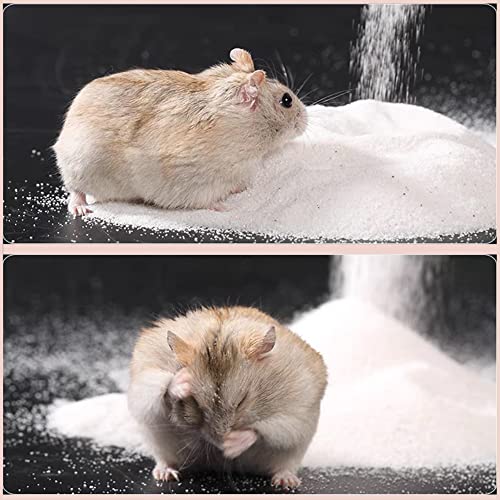 DR.DUDU 6.6lb Hamster Sand for Sand Bath, Hamster Cage Accessories(White) | Dust Free Desert Sand for Gerbil Chinchillas Syrian Mice Small Animals - color: White, size: 6.6lb