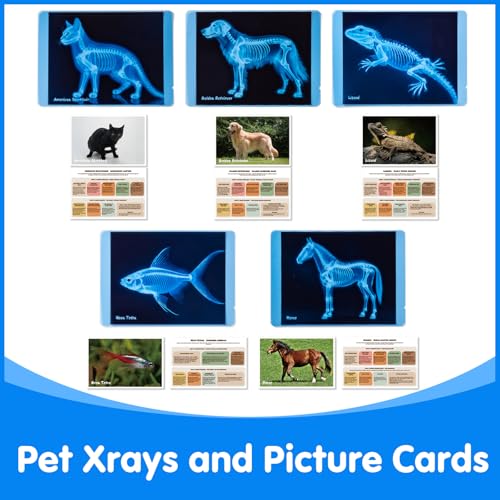 Pet Series Animal Xrays for Kids - Light Table Manipulatives | Veterinarian Play Set & Dramatic Play Vet Clinic - style: Pet Series