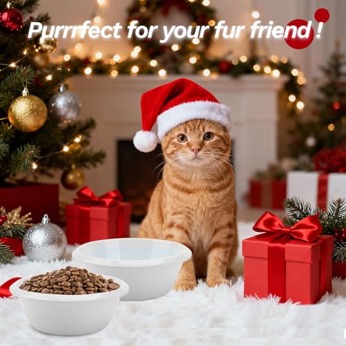 2PCS Cat Bowls Pet Feeding Dish 6.3 Inch, Wide Pet Bowl Pet Feeding Bowl for Indoor Cats, Replacement Food and Water Bowl, Wide Shallow Feeder Bowls for Kitten, Puppy, Rabbit (White) - color: White