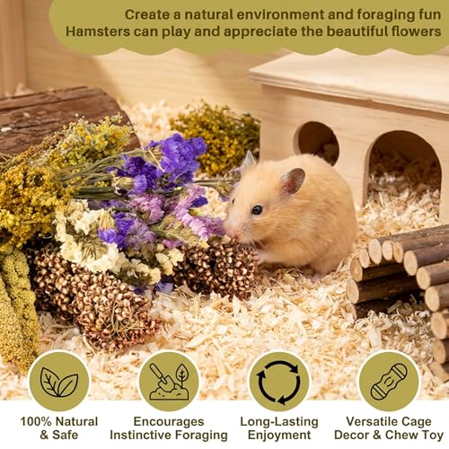 Sukh Natural Hamster Bedding Sprays - Foraging Cage Accessories | Habitat Decor & Enrichment for Dwarf and Syrian Hamsters, Gerbils, Mice and Small Animals Cage Hideout Accessories