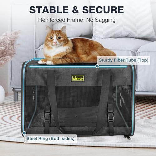 Cat Carrier 20"x13"x13", Foldable Soft-Sided Travel Pet Bag | Designed for cats and small pets with sturdy frame support, breathable mesh and seat belt compatibility for safe car travel. - color: Black, size: 20x13x13 In